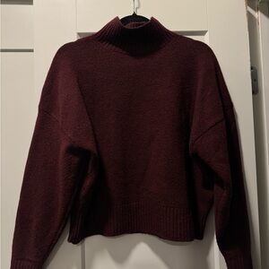 Zara Deep Burgundy Turtleneck Sweater